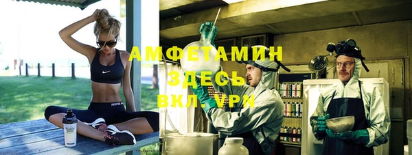 индика Семикаракорск